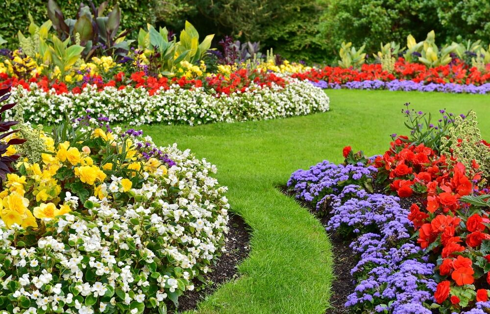 Des parterres éclatants : astuces pour un jardin haut en couleur