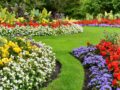 Des parterres éclatants : astuces pour un jardin haut en couleur